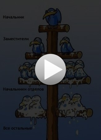 Сергей Коньков | Санкт-Петербург