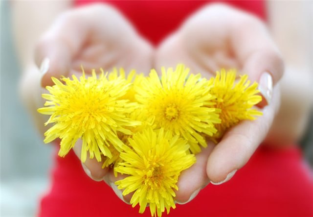 Лидия Сысоева | Ставрополь