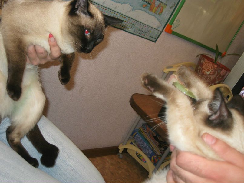 Марина Маркова | Санкт-Петербург