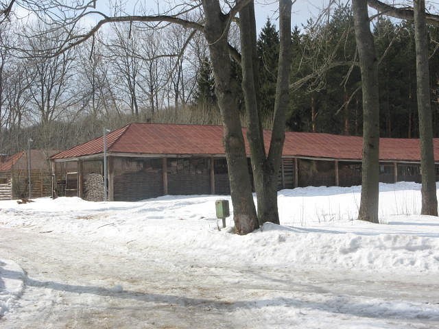 Оксана Новоселова | Екатеринбург