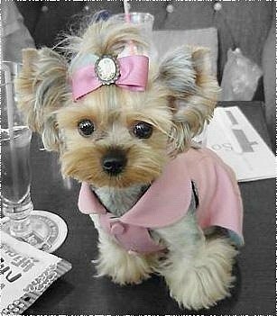 №113, Марина Мацюцька, Полтава №113, Марина Мацюцька, Полтава