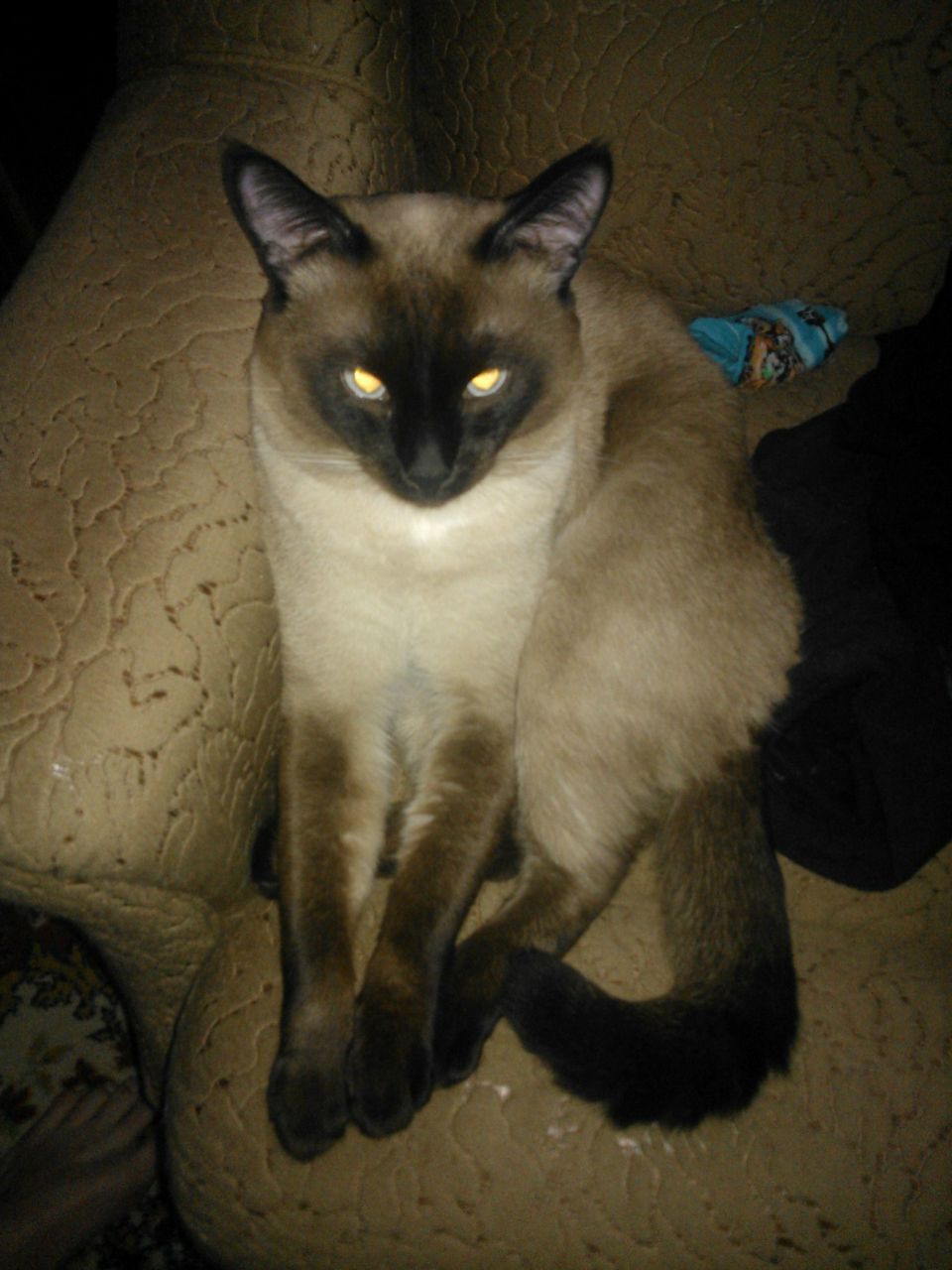 Павел Молчанов | Ульяновск