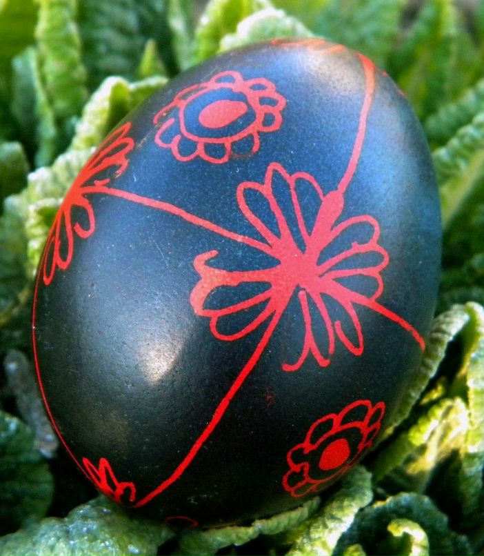 Zsuzsanna Gajdos | Мукачево