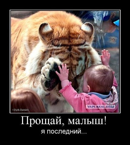 №6, Витька Румянцев, 27 лет, Москва №6, Витька Румянцев, 27 лет, Москва