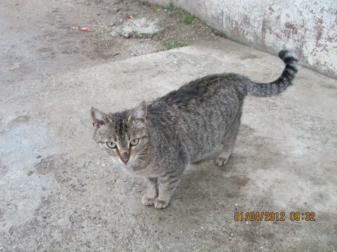 Макс Шапарев | Киев