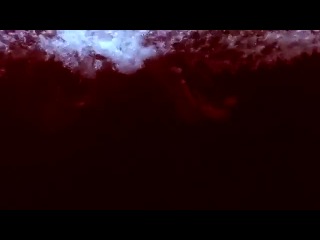 Мотивация в спорте и в жизни