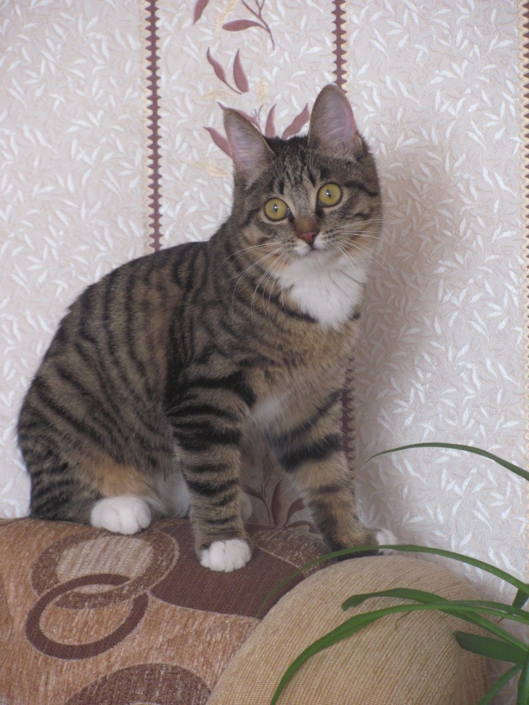 Иришка Спешилова | 