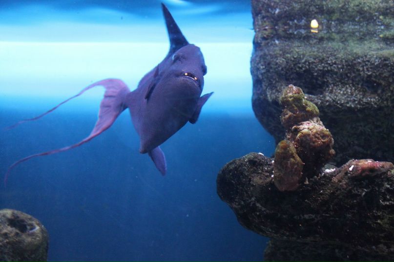 Анна Богаш | Иркутск