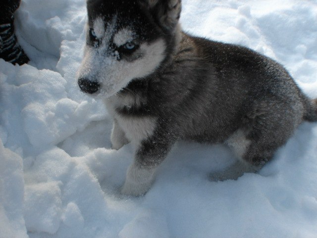 Мария Ратушна | Белая Церковь