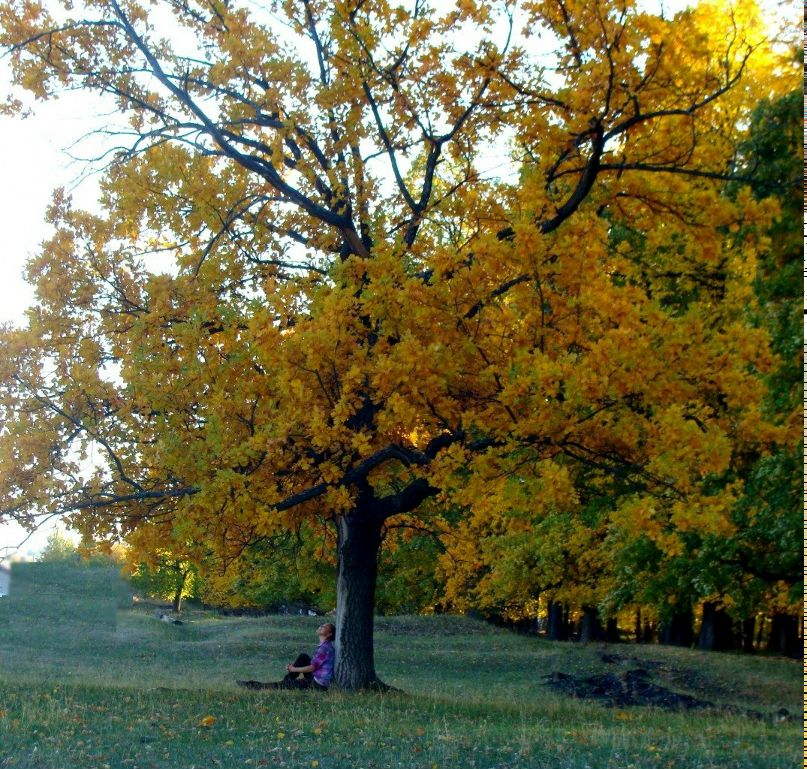 Эльвира Кашаева | Уфа