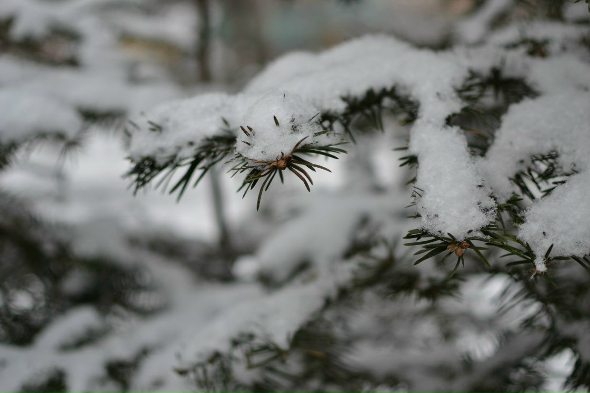 Мария Пирогова ^_^  Mari Pir ^_^ | Владивосток