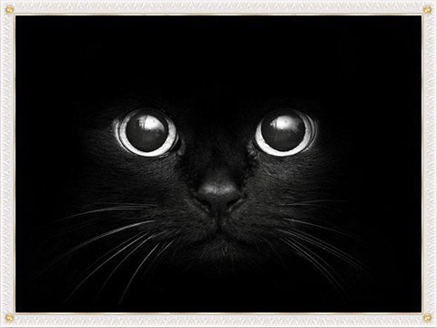 Света Кислова | Чебоксары