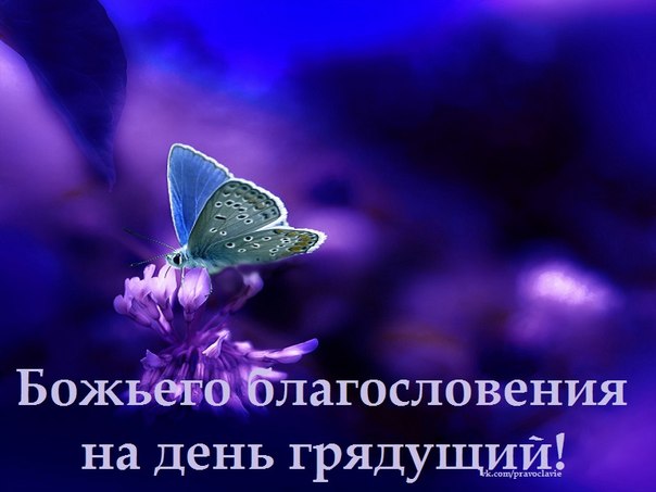 картинки божьей помощи и благодати как развивался роман
