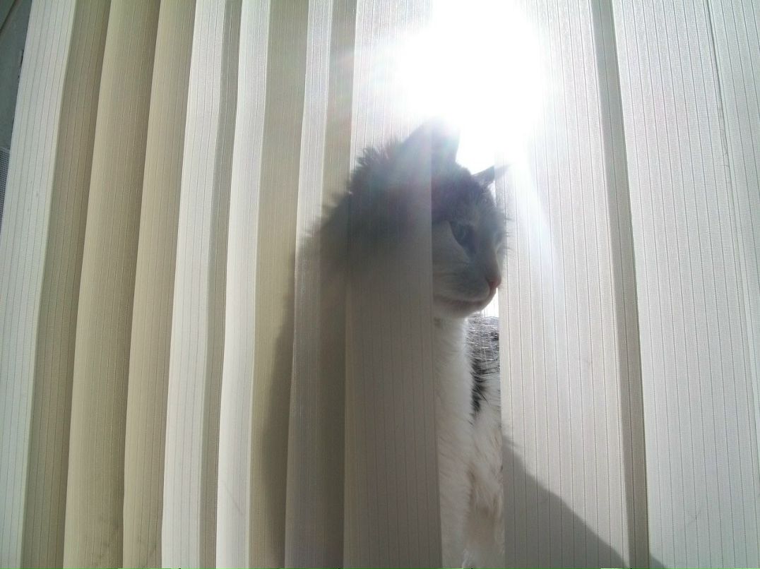 Любовь Воробьёва | Санкт-Петербург