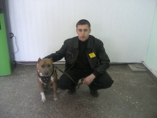 Александр Янышевский | Katowice