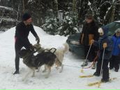 №26 Светлана Ларионова 04.04: профиль, фото, статус - ВКонтакте