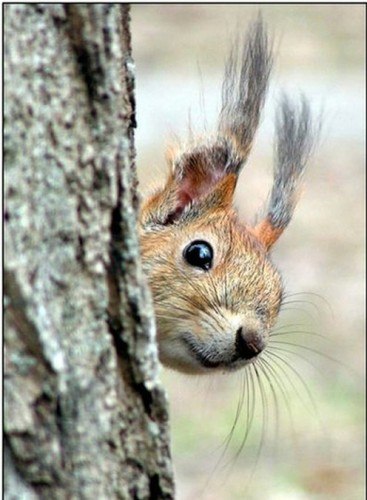 Алексей Петров | Киев