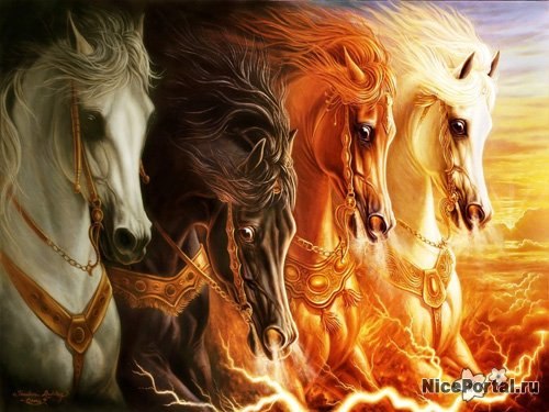 Ольга Яворская | Херсон