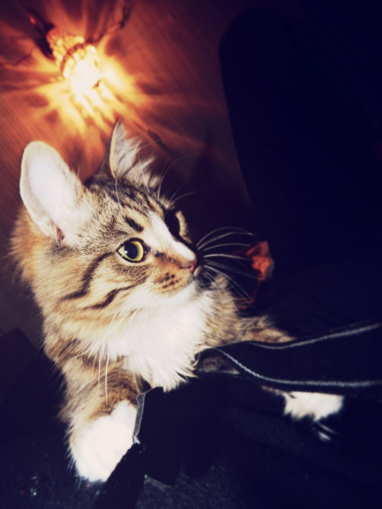 Игнатий Мазальский [מזל] | Санкт-Петербург