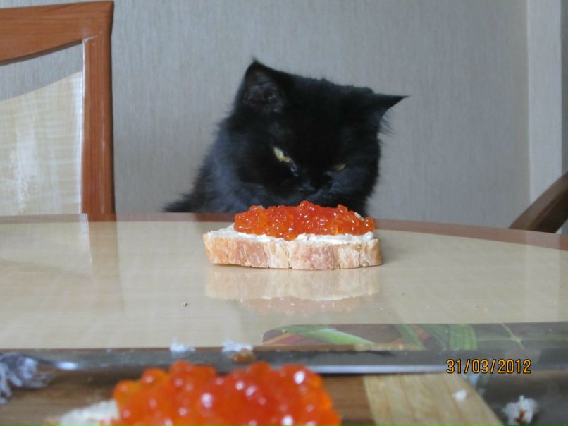 Елена Степанишина | Алчевск