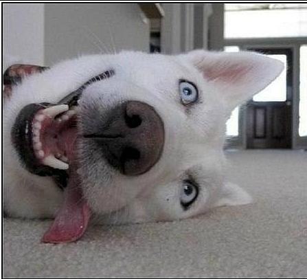 Станислав Иргашев СтасON | Москва