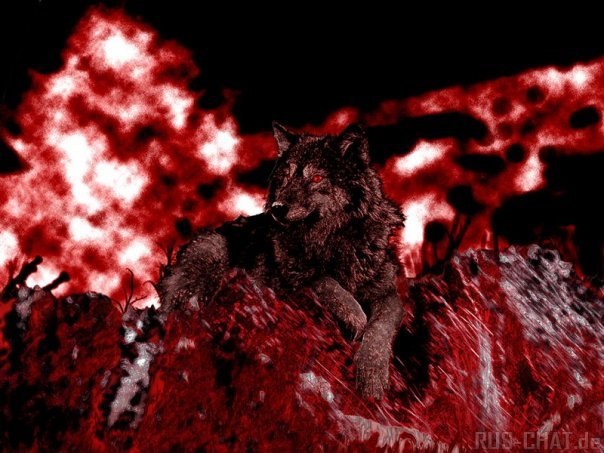 Виталий Андреев | Казань