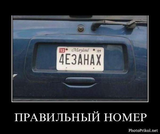 Елена Елисеева | Псков