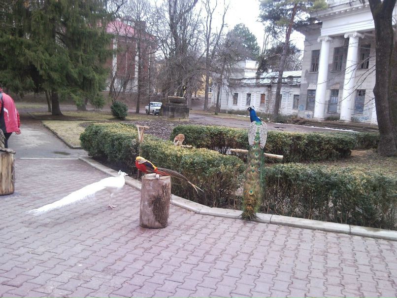 Александр Конюшенко КотАпездол | Москва