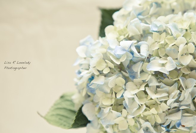 Надія Марценюк | 