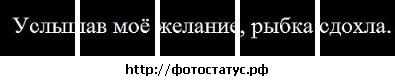 №52, Serega Vlassov, 40 лет, Усть-Каменогорск №52, Serega Vlassov, 40 лет, Усть-Каменогорск