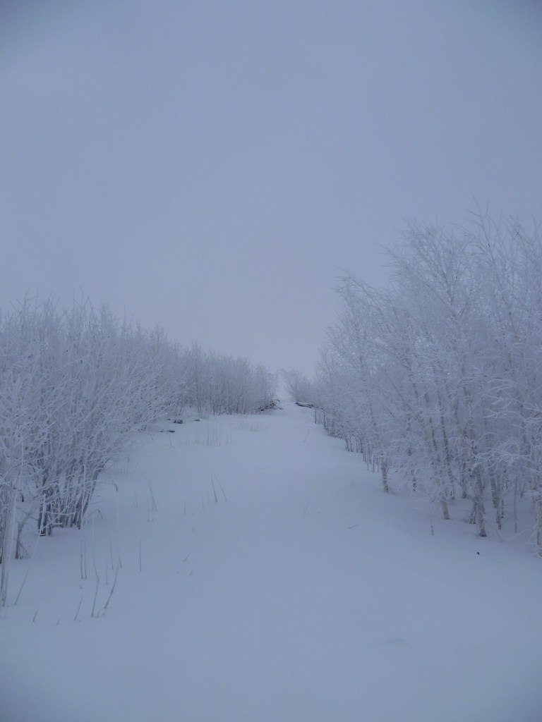 Тамара Смирнова ☼  Ǩϰƈﮛl ☼ | Чебоксары