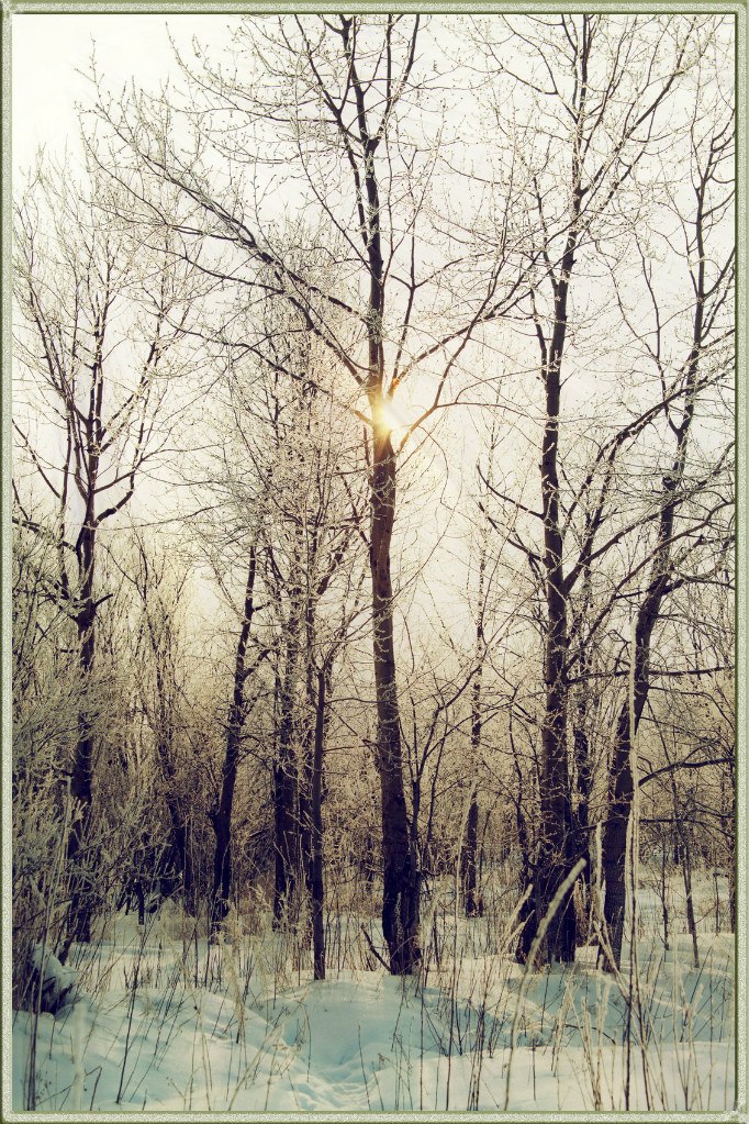 Игорь Задорин | Северодвинск