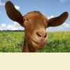 За всё хорошее!!!!!!!!!!!!! да и плохое тоже!!!!!!!!!!! За всё хорошее!!!!!!!!!!!!! да и плохое тоже!!!!!!!!!!!