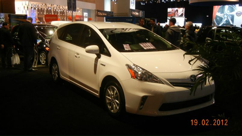 Эллина Керимова Yote | Toronto