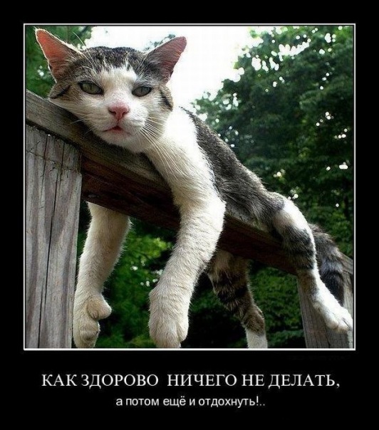 №123, Светлана Корельцева, 41 год, Москва №123, Светлана Корельцева, 41 год, Москва