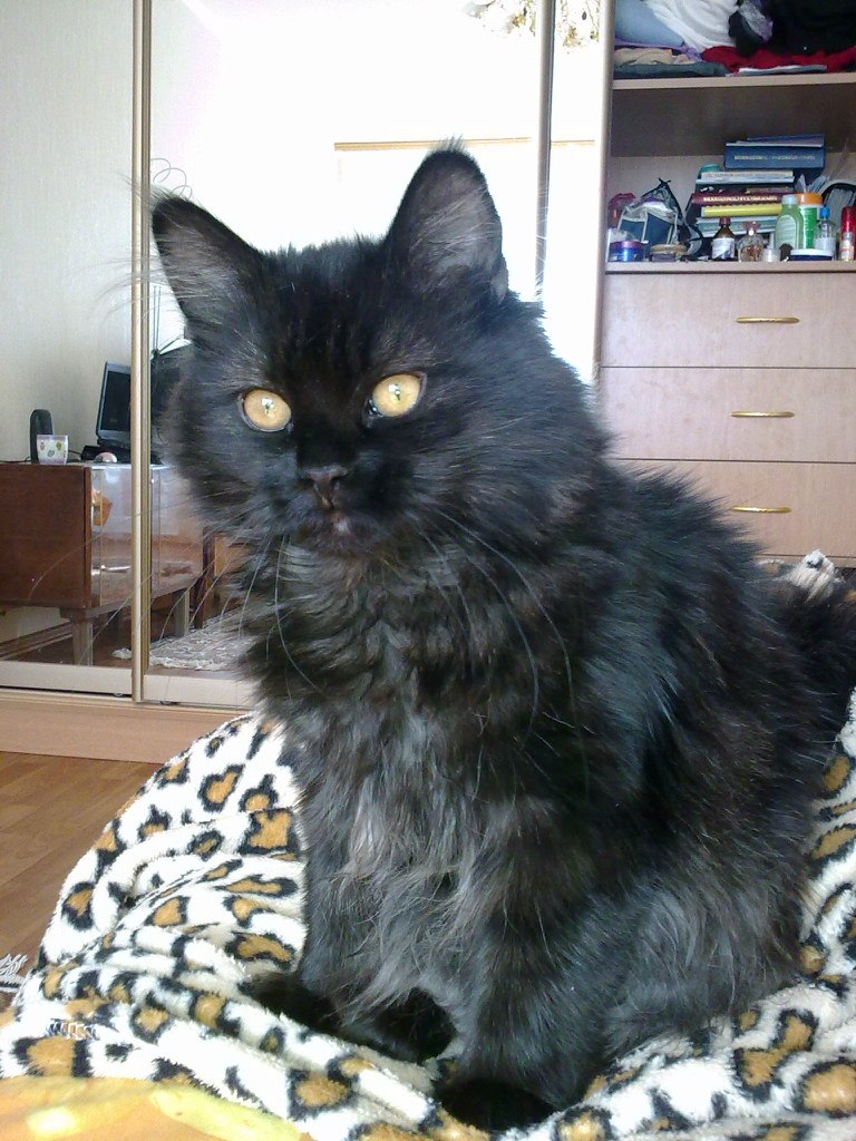 Irina Malenovska | Znojmo