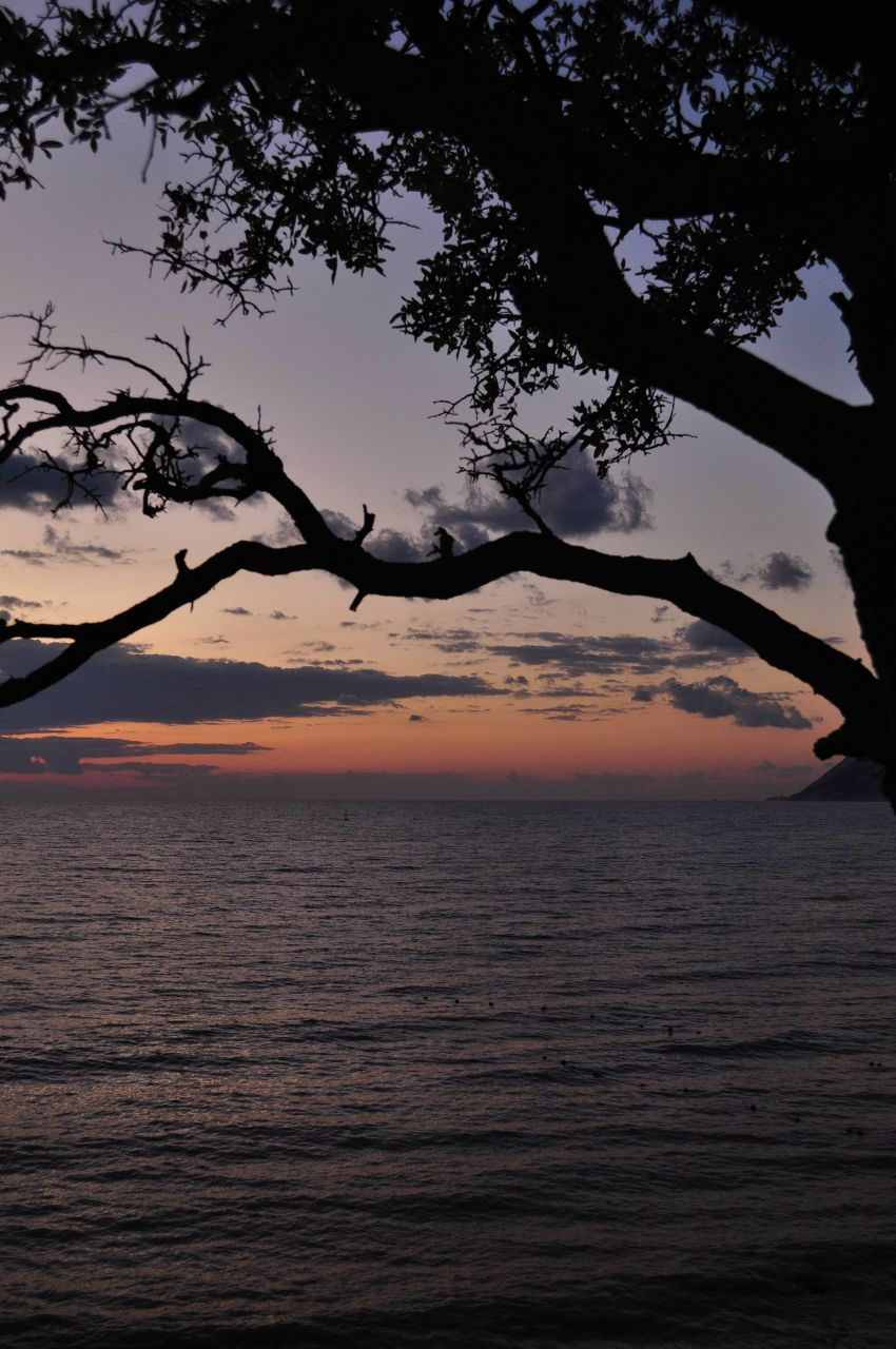 Анна Федорова | Санкт-Петербург