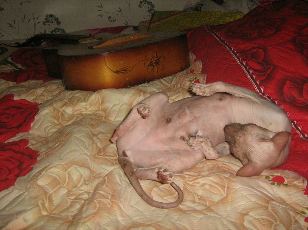 Кристина Сенчугова ♥^√V''^√\√V''^√\♥ | Владимир