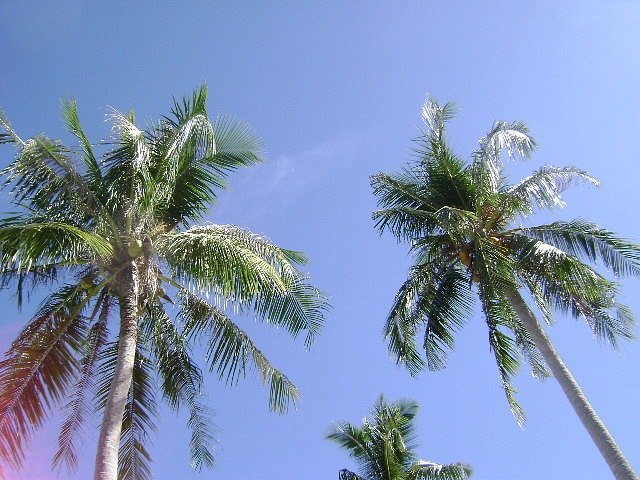 Наталья Рябихина | Саратов