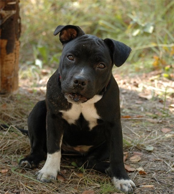 Андрей Соколов Владимирович | Москва