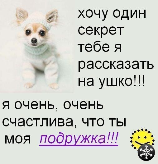 Дарья Вертинова | Киев