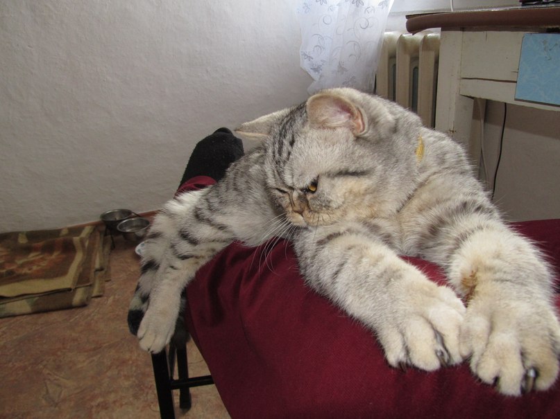 Лариса Попович Анатольевна | Крымск