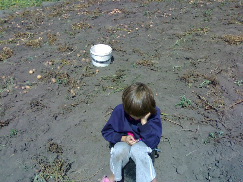 Андрей Бечко -MEDVED- | Киев