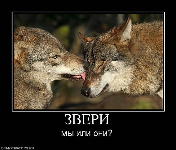 Александр Деренчук D.A. | Мариуполь