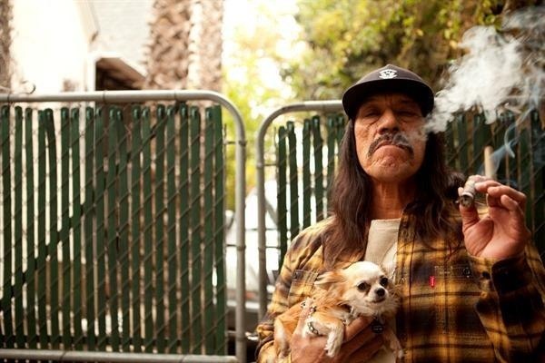 Олег Казелин | 