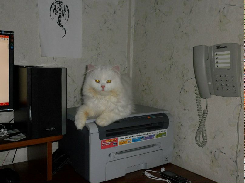 Дмитрий Акунеев | Бузулук