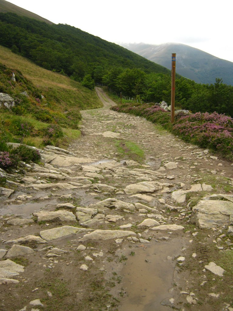 Светлана Иванова | Санкт-Петербург