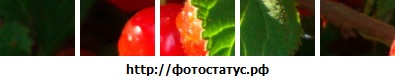 №94, Ирина Проскура, 39 лет, Кормиловка №94, Ирина Проскура, 39 лет, Кормиловка