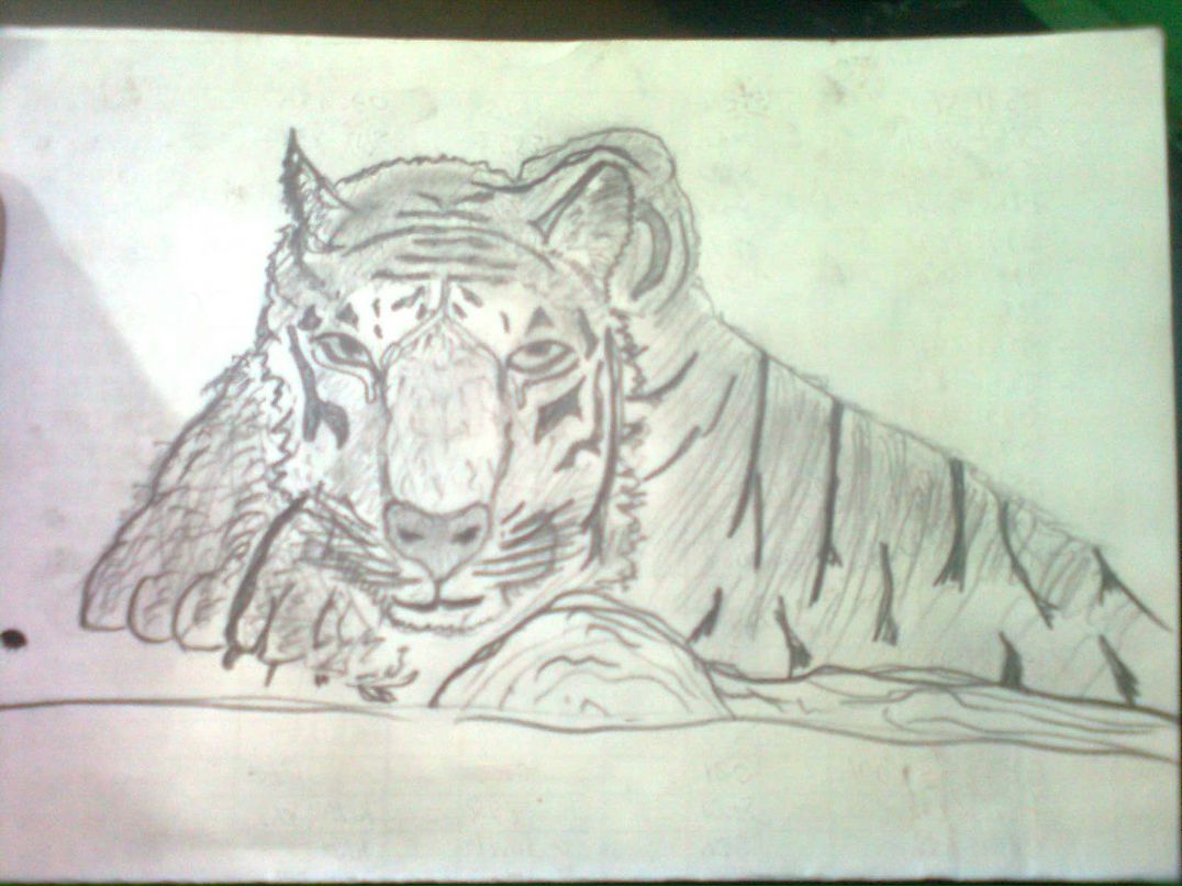 Алексей Шайгородский | Житомир