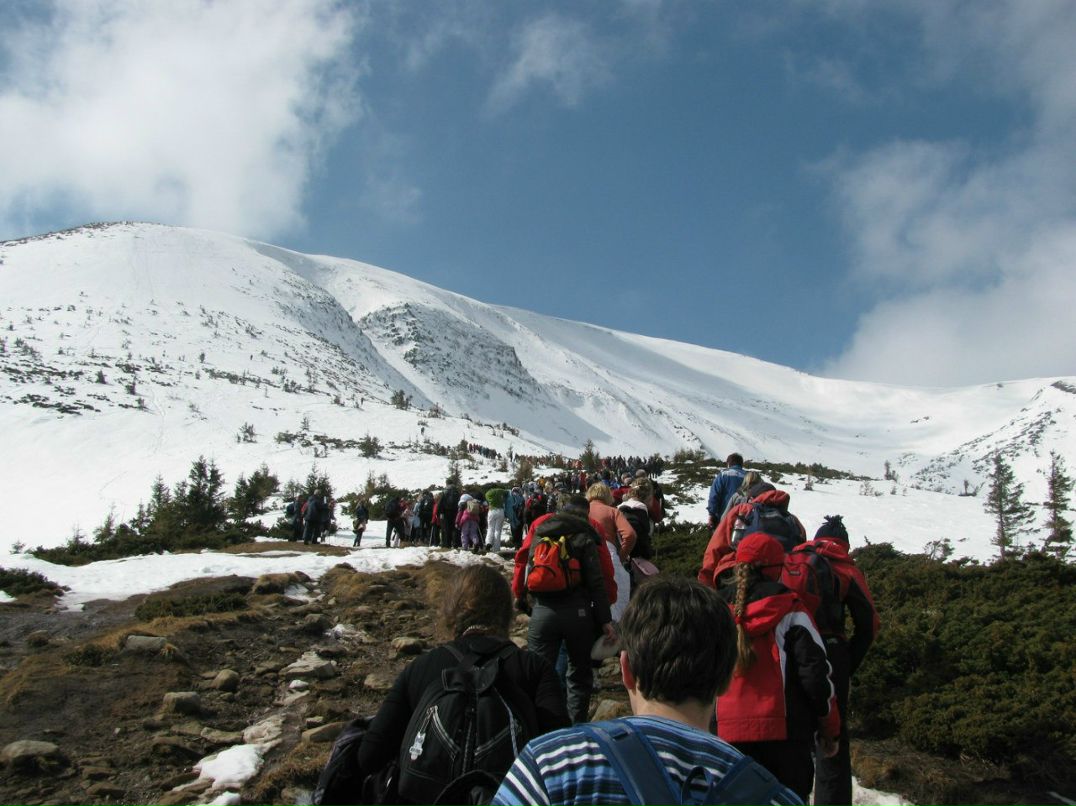 Діма Кохан | 